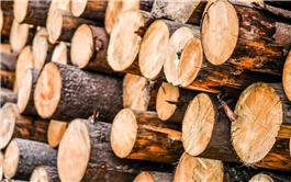 Vật liệu composite mới, biến gỗ phế thải thành “pin” làm mát cho tòa nhà